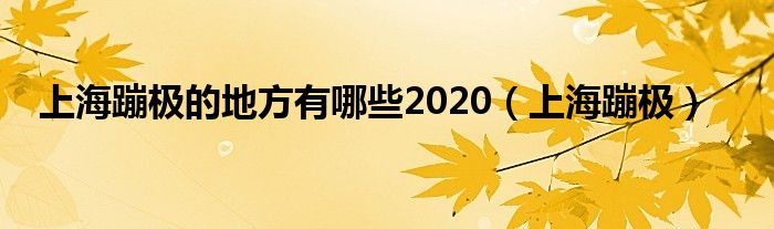 上海蹦极的地方有哪些2020（上海蹦极）