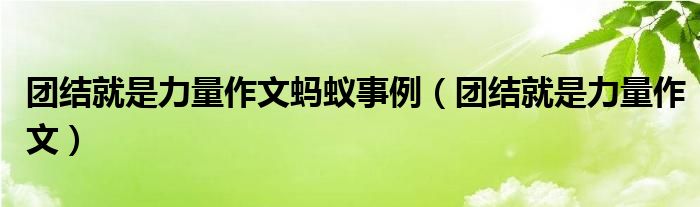 团结就是力量作文蚂蚁事例（团结就是力量作文）