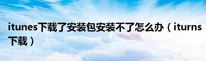 itunes下载了安装包安装不了怎么办（iturns下载）