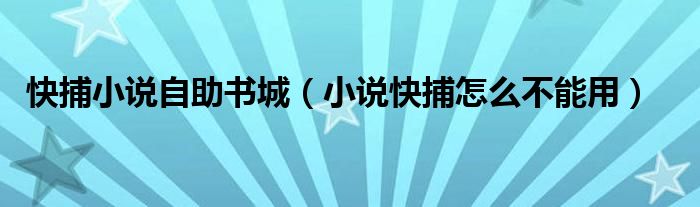 快捕小说自助书城（小说快捕怎么不能用）