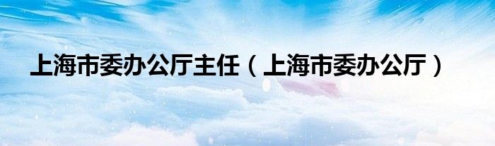 上海市委办公厅主任（上海市委办公厅）