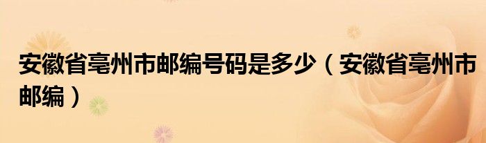 安徽省亳州市邮编号码是多少（安徽省亳州市邮编）