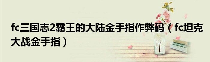 fc三国志2霸王的大陆金手指作弊码（fc坦克大战金手指）