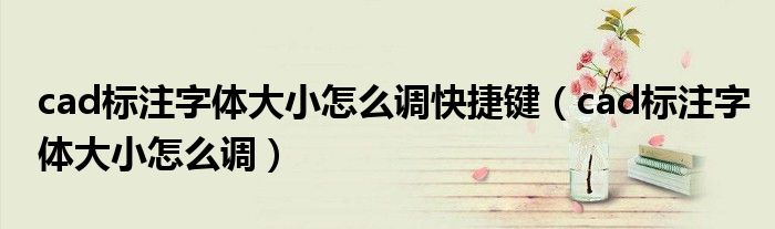 cad标注字体大小怎么调快捷键（cad标注字体大小怎么调）
