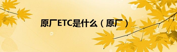 原厂ETC是什么（原厂）