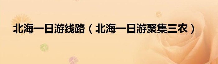 北海一日游线路（北海一日游聚集三农）