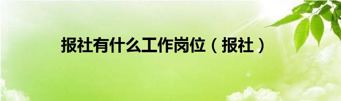 报社有什么工作岗位（报社）