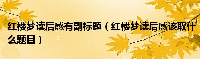 红楼梦读后感有副标题（红楼梦读后感该取什么题目）