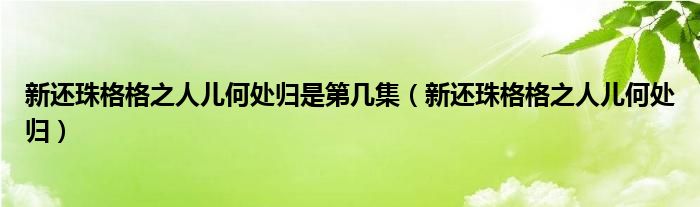 新还珠格格之人儿何处归是第几集（新还珠格格之人儿何处归）