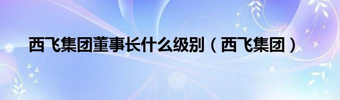 西飞集团董事长什么级别（西飞集团）