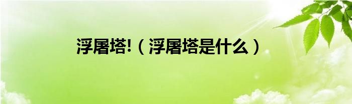 浮屠塔!（浮屠塔是什么）