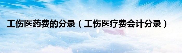 工伤医药费的分录（工伤医疗费会计分录）