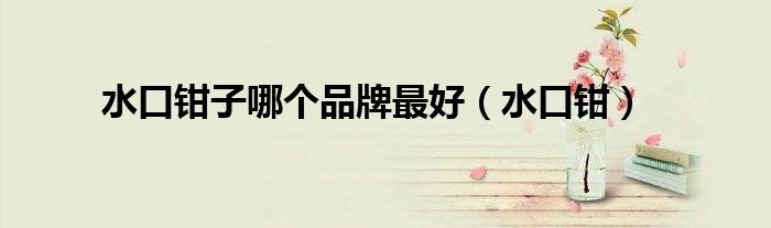 水口钳子哪个品牌最好（水口钳）