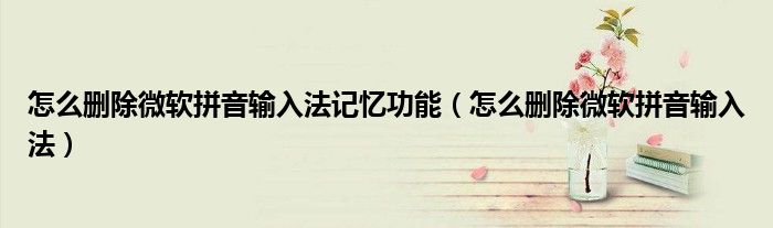 怎么删除微软拼音输入法记忆功能（怎么删除微软拼音输入法）