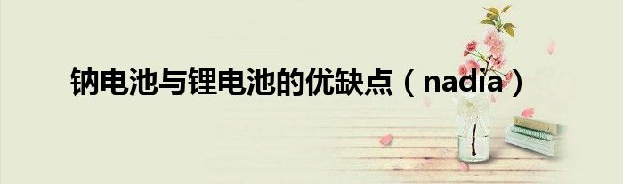 钠电池与锂电池的优缺点（nadia）