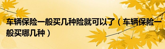 车辆保险一般买几种险就可以了（车辆保险一般买哪几种）