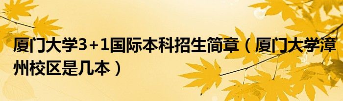 厦门大学3+1国际本科招生简章（厦门大学漳州校区是几本）