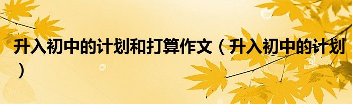 升入初中的计划和打算作文（升入初中的计划）