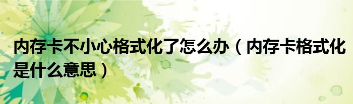 内存卡不小心格式化了怎么办（内存卡格式化是什么意思）