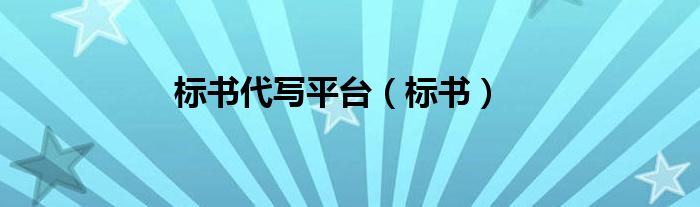 标书代写平台（标书）