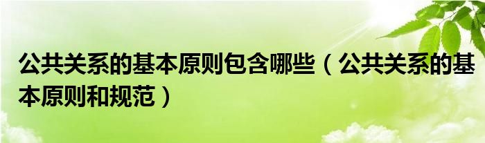 公共关系的基本原则包含哪些（公共关系的基本原则和规范）