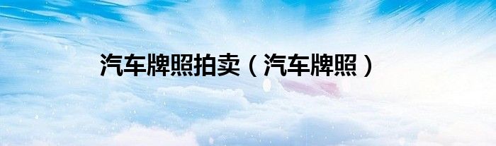 汽车牌照拍卖（汽车牌照）