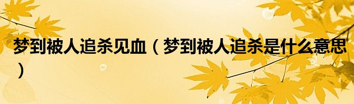梦到被人追杀见血（梦到被人追杀是什么意思）
