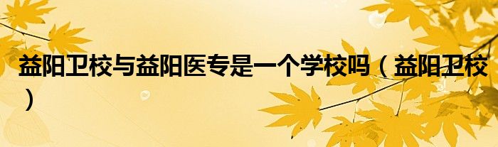 益阳卫校与益阳医专是一个学校吗（益阳卫校）