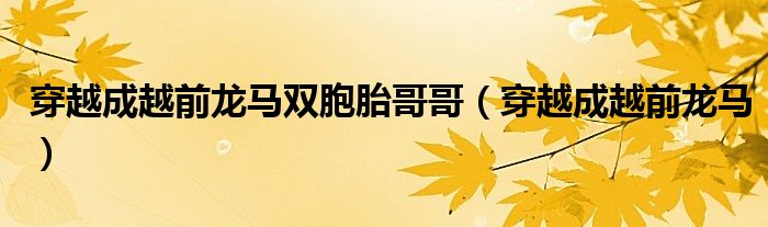穿越成越前龙马双胞胎哥哥（穿越成越前龙马）