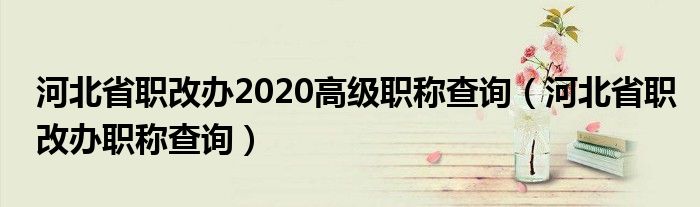 河北省职改办2020高级职称查询（河北省职改办职称查询）