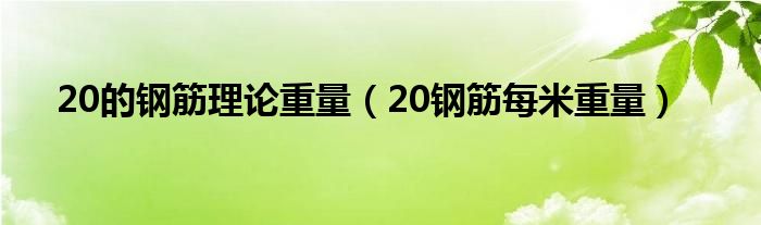20的钢筋理论重量（20钢筋每米重量）