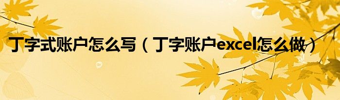 丁字式账户怎么写（丁字账户excel怎么做）