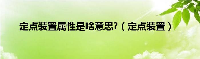 定点装置属性是啥意思?（定点装置）