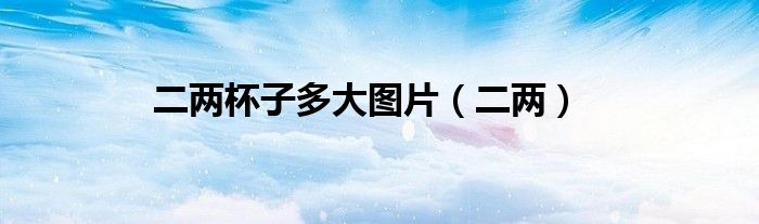 二两杯子多大图片（二两）