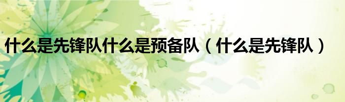 什么是先锋队什么是预备队（什么是先锋队）