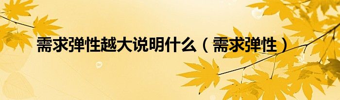 需求弹性越大说明什么（需求弹性）