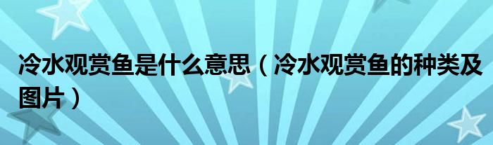 冷水观赏鱼是什么意思（冷水观赏鱼的种类及图片）