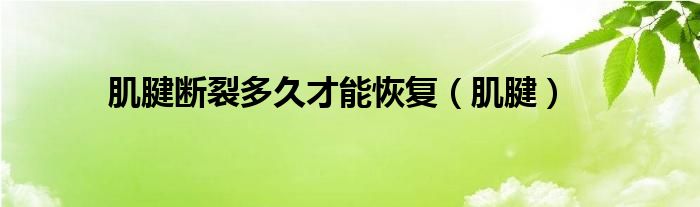 肌腱断裂多久才能恢复（肌腱）