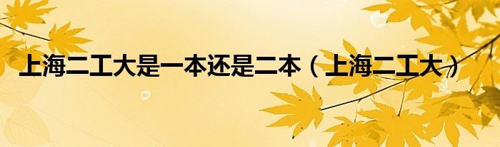 上海二工大是一本还是二本（上海二工大）