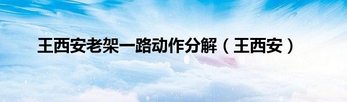 王西安老架一路动作分解（王西安）