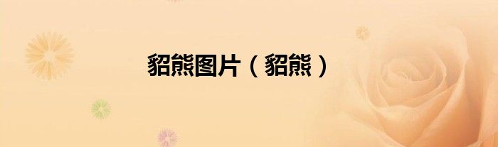 貂熊图片（貂熊）