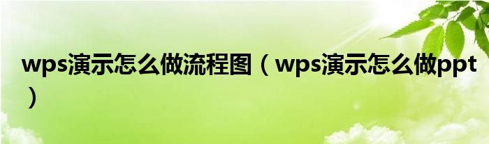 wps演示怎么做流程图（wps演示怎么做ppt）