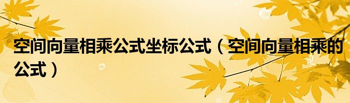 空间向量相乘公式坐标公式（空间向量相乘的公式）