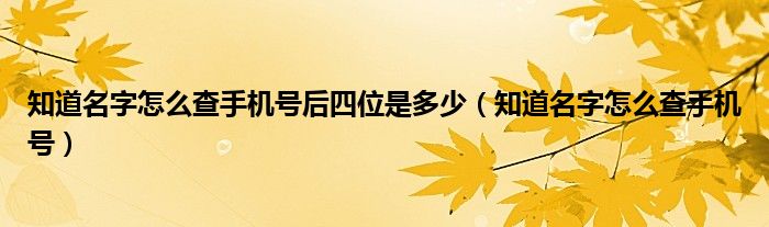 知道名字怎么查手机号后四位是多少（知道名字怎么查手机号）