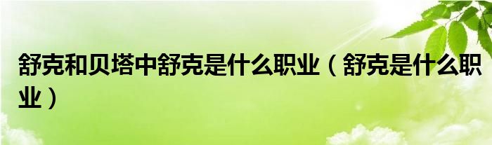 舒克和贝塔中舒克是什么职业（舒克是什么职业）