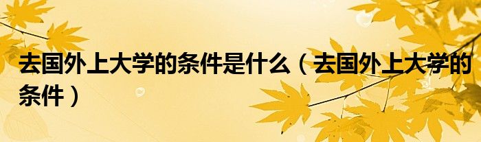 去国外上大学的条件是什么（去国外上大学的条件）