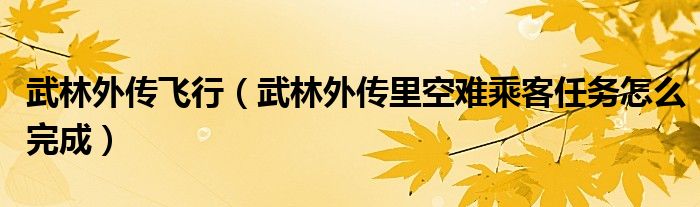 武林外传飞行（武林外传里空难乘客任务怎么完成）