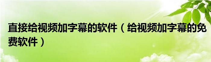 直接给视频加字幕的软件（给视频加字幕的免费软件）
