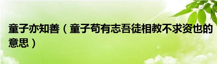 童子亦知善（童子苟有志吾徒相教不求资也的意思）