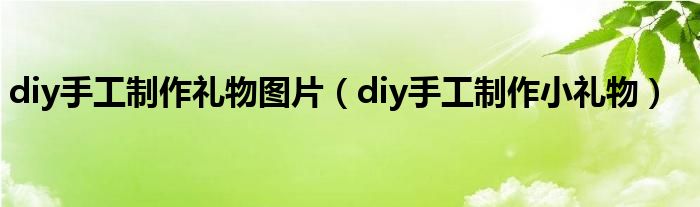 diy手工制作礼物图片（diy手工制作小礼物）
